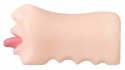 Evolved Real Mouth model anatomiczny z realistyczną powierzchnią 16 cm
