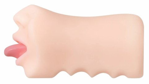Evolved Real Mouth model anatomiczny z realistyczną powierzchnią 16 cm Evolved Real Mouth model anatomiczny z realistyczną powierzchnią 16 cm