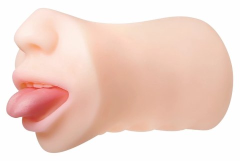 Evolved Real Mouth model anatomiczny z realistyczną powierzchnią 16 cm Evolved Real Mouth model anatomiczny z realistyczną powierzchnią 16 cm