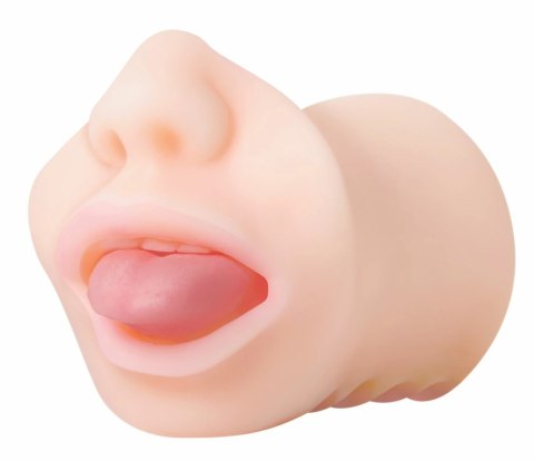 Evolved Real Mouth model anatomiczny z realistyczną powierzchnią 16 cm Evolved Real Mouth model anatomiczny z realistyczną powierzchnią 16 cm