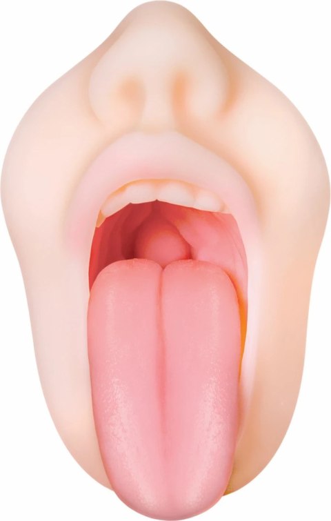 Evolved Real Mouth model anatomiczny z realistyczną powierzchnią 16 cm Evolved Real Mouth model anatomiczny z realistyczną powierzchnią 16 cm