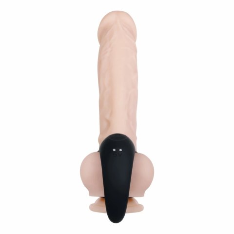 Evolved Vibrating Ball Cradle Black - System Wibracyjny z Pilotem Evolved Vibrating Ball Cradle Black - System Wibracyjny z Pilotem