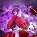 Evolved Wild Rose Red - wielofunkcyjny masażer z systemem podwojnej wibracji