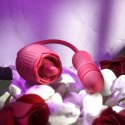 Evolved Wild Rose Red - wielofunkcyjny masażer z systemem podwojnej wibracji