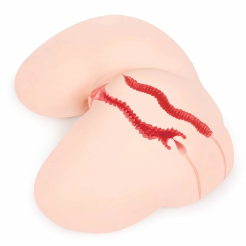 Kokos Hanna model anatomiczny biodra TPE naturalny rozmiar Kokos Hanna model anatomiczny biodra TPE naturalny rozmiar