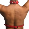 Sportsheets Harness na Biust Red - Regulowany Pas z Eko Skory