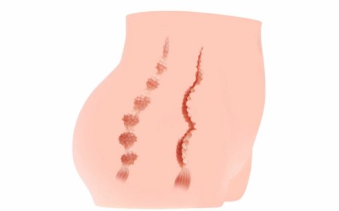 Cherry Model Intymny Dwukanałowy Anatomiczny XL 8809392180466 Cherry Model Intymny Dwukanałowy Anatomiczny XL 8809392180466