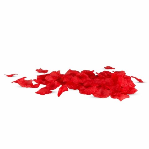 EasyToys Zestaw Startowy Intymny dla Par i Kobiet 7 elementow EasyToys Zestaw Startowy Intymny dla Par i Kobiet 7 elementow