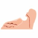 Hera 3 model anatomiczny z trzema kanałami TPR 3D