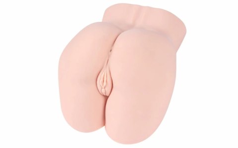 Hera Real Hip model anatomiczny, kompaktowy, miękki materiał Hera Real Hip model anatomiczny, kompaktowy, miękki materiał