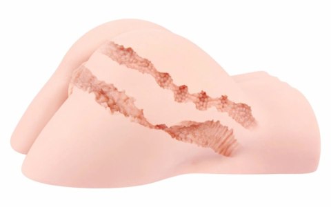 Hera Real Hip model anatomiczny, kompaktowy, miękki materiał Hera Real Hip model anatomiczny, kompaktowy, miękki materiał
