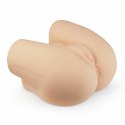 Nexus Eva Miller model anatomiczny z podwojnym systemem wejść TPR
