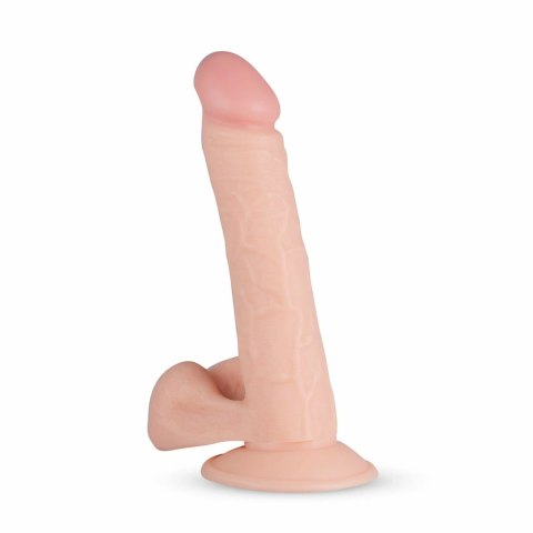 Real Fantasy Felix 22 cm - model anatomiczny z przyssawką Real Fantasy Felix 22 cm - model anatomiczny z przyssawką