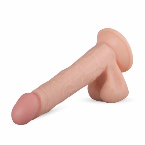 Real Fantasy Felix 22 cm - model anatomiczny z przyssawką Real Fantasy Felix 22 cm - model anatomiczny z przyssawką