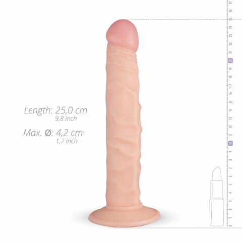Real Fantasy Scott anatomiczny model z przyssawką, beżowy 20 cm Real Fantasy Scott anatomiczny model z przyssawką, beżowy 20 cm