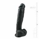 EasyToys Model anatomiczny 26,5 cm - elastyczna powierzchnia, naturalny kolor