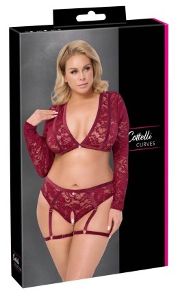 Cottelli Curves Komplet Koronkowy Top i Majtki 2XL Ciemnoczerwony