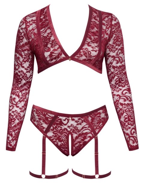 Cottelli Curves Komplet Koronkowy Top i Majtki 2XL Ciemnoczerwony Cottelli Curves Komplet Koronkowy Top i Majtki 2XL Ciemnoczerwony
