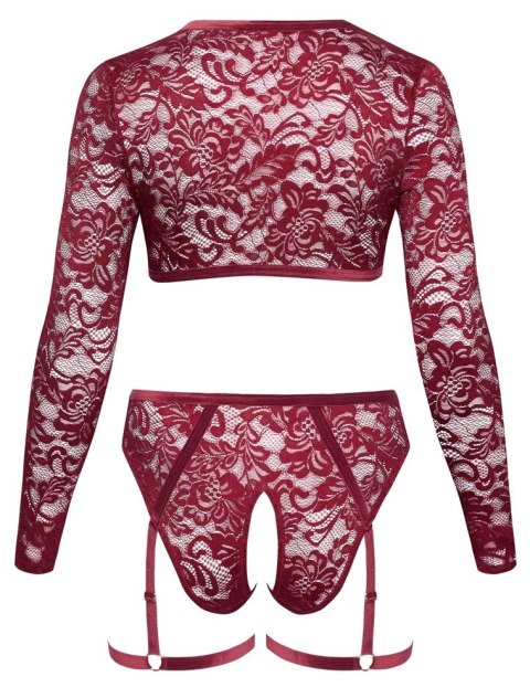 Cottelli Curves Komplet Koronkowy Top i Majtki Czerwony XL Cottelli Curves Komplet Koronkowy Top i Majtki Czerwony XL