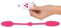 Sweet Smile RC Double Pleasure - System Wibracyjny Z Pilotem Rożowy
