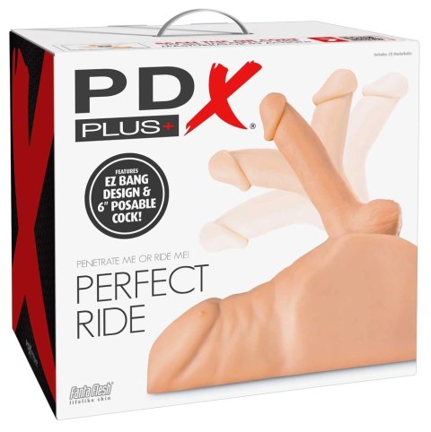 PDX Plus Perfect Ride Light - anatomiczny tors męski, ruchomy element, 33 cm PDX Plus Perfect Ride Light - anatomiczny tors męski, ruchomy element, 33 cm