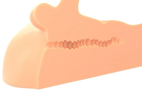 PDX Plus Perfect Ride Light - anatomiczny tors męski, ruchomy element, 33 cm PDX Plus Perfect Ride Light - anatomiczny tors męski, ruchomy element, 33 cm