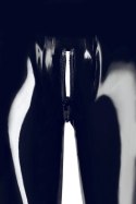 Late X legginsy lateksowe czarne 2XL z 3-kierunkowym zamkiem