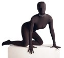 Bad Kitty Czarna Błyszcząca Obroża Anatomiczna Regulowana 25-42cm