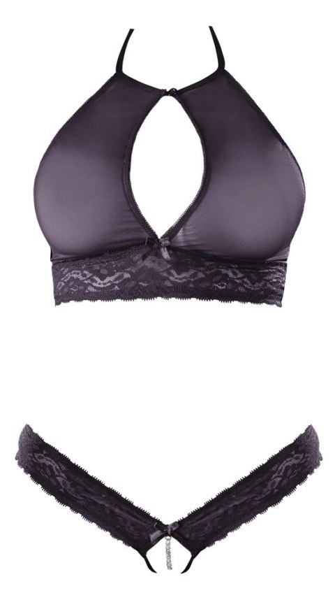 Cottelli Lingerie komplet koronkowy biustonosz siateczkowy i stringi S/M Cottelli Lingerie komplet koronkowy biustonosz siateczkowy i stringi S/M
