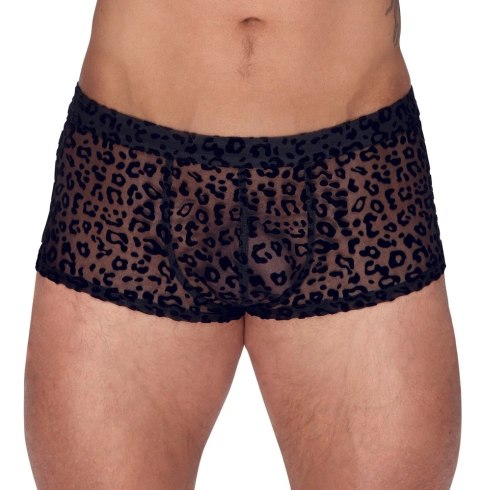 Noir Bokserki Męskie Transparentne Panterka Czarny 2XL Komfort Noir Bokserki Męskie Transparentne Panterka Czarny 2XL Komfort