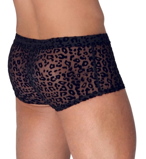Noir Bokserki Męskie Transparentne Panterka Czarny 2XL Komfort Noir Bokserki Męskie Transparentne Panterka Czarny 2XL Komfort