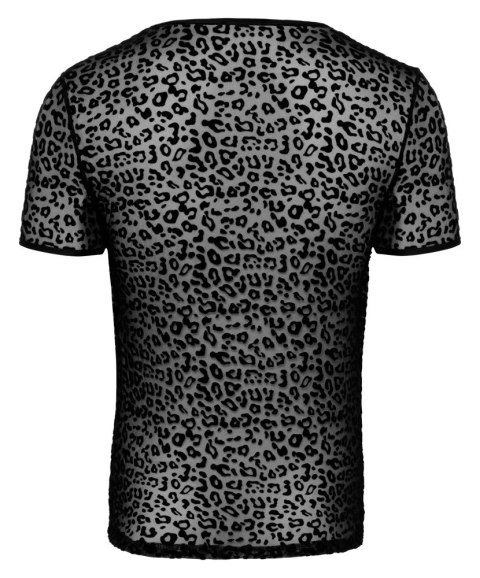 Noir Koszulka Męska Czarna Panterka Prześwitująca 2XL Powernet Noir Koszulka Męska Czarna Panterka Prześwitująca 2XL Powernet