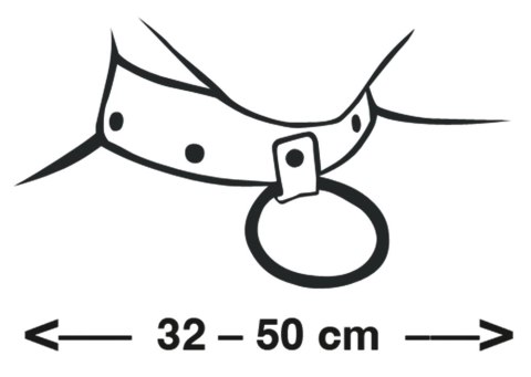 Zado Wild Thing - skorzana obroża z pierścieniem, czarna, 32-50 cm Zado Wild Thing - skorzana obroża z pierścieniem, czarna, 32-50 cm