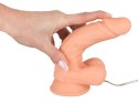 Realistixxx Model Naturalny z Pilotem i Podstawą 18cm TPE