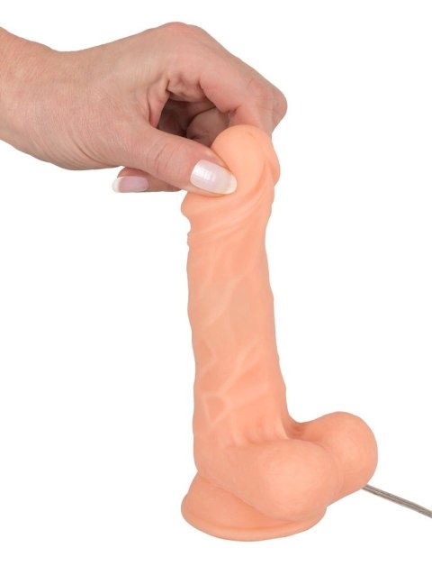 Realistixxx Model Naturalny z Pilotem i Podstawą 18cm TPE Realistixxx Model Naturalny z Pilotem i Podstawą 18cm TPE