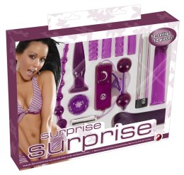 You2Toys Zestaw Intymnych Akcesoriow 12-częściowy, fioletowy ABS/TPE