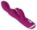 Sweet Smile Rabbit Violet system podwojnej stymulacji A&G, 23,6 cm