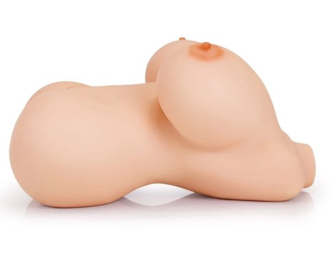 PDX Plus Big Titty Torso - anatomiczny tors z systemem podwojnej gęstości 9kg PDX Plus Big Titty Torso - anatomiczny tors z systemem podwojnej gęstości 9kg