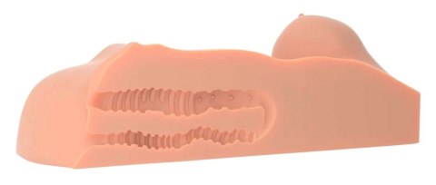 PDX Plus Tors Anatomiczny z Piersiami i Podwojnym Systemem Tuneli Cielisty PDX Plus Tors Anatomiczny z Piersiami i Podwojnym Systemem Tuneli Cielisty