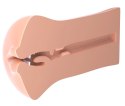Pipedream Extreme Toyz PET model To Go kompaktowy model jamy ustnej 16,3 cm