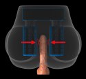 Pipedream PDX Elite Torso z Pośladkami i Pilotem, 31x30x18 cm, TPE