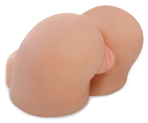 Pipedream PET Model Anatomiczny Z Dwiema Strefami 27,5 cm 4,5 kg Pipedream PET Model Anatomiczny Z Dwiema Strefami 27,5 cm 4,5 kg