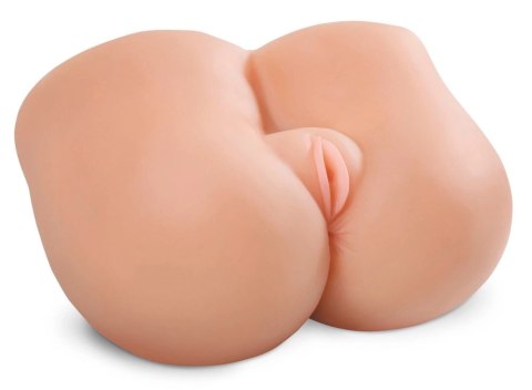 Pipedream PET Model Anatomiczny Z Dwiema Strefami 27,5 cm 4,5 kg Pipedream PET Model Anatomiczny Z Dwiema Strefami 27,5 cm 4,5 kg