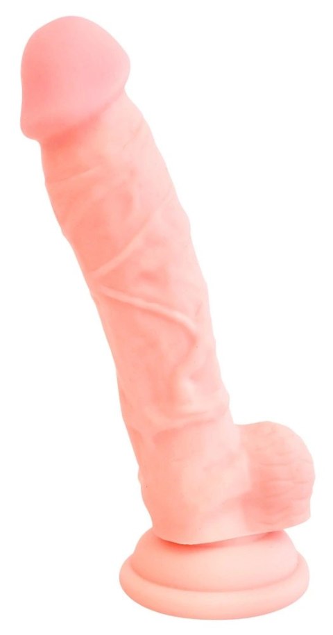 Medical Silicone Model 18cm - anatomiczny przyrząd silikonowy z przyssawką Medical Silicone Model 18cm - anatomiczny przyrząd silikonowy z przyssawką