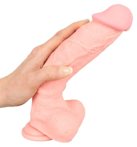 Medical Silicone Model 24cm - anatomiczny symulator z przyssawką Medical Silicone Model 24cm - anatomiczny symulator z przyssawką