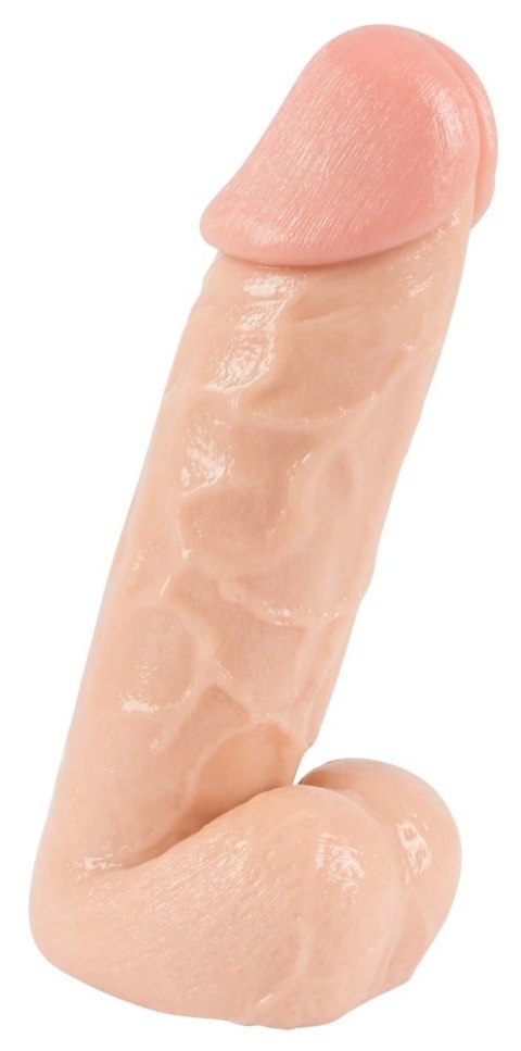 You2Toys model anatomiczny z podstawą, skora, 20,5 cm You2Toys model anatomiczny z podstawą, skora, 20,5 cm