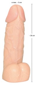 You2Toys model anatomiczny z podstawą, skora, 20,5 cm