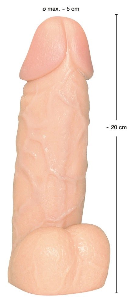 You2Toys model anatomiczny z podstawą, skora, 20,5 cm You2Toys model anatomiczny z podstawą, skora, 20,5 cm