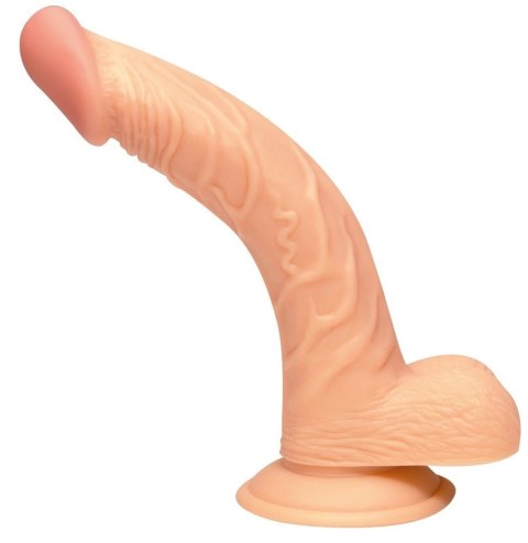 NMC Zakrzywiony Model Anatomiczny z Żyłkowaniem 19cm PVC NMC Zakrzywiony Model Anatomiczny z Żyłkowaniem 19cm PVC