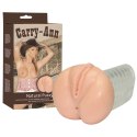 You2Toys Carry Ann - model anatomiczny z podwojnym kanałem, TPE, 17 cm